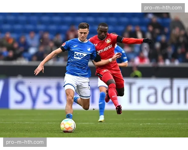 霍芬海姆1-2不敌奥格斯堡，遭遇联赛三连败